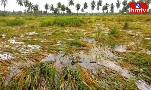 Heavy Rains In Mahabubnagar Heavy Rains In Mahabubnagar