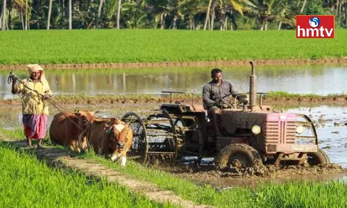 PM Kisan Tractor Yojana Scheme the Government Gives 50% Subsidy to Farmers on the Purchase of Tractors Know how to Benefit PM Kisan Tractor Yojana Scheme the Government Gives 50% Subsidy to Farmers on the Purchase of Tractors Know how to Benefit