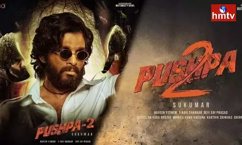 Allu Arjun Pushpa 2 Release Date Update | Tollywood News