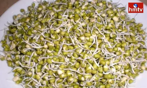Sprouts Side Effects These People Should Not Eat Sprouted Seeds Sprouts Side Effects These People Should Not Eat Sprouted Seeds