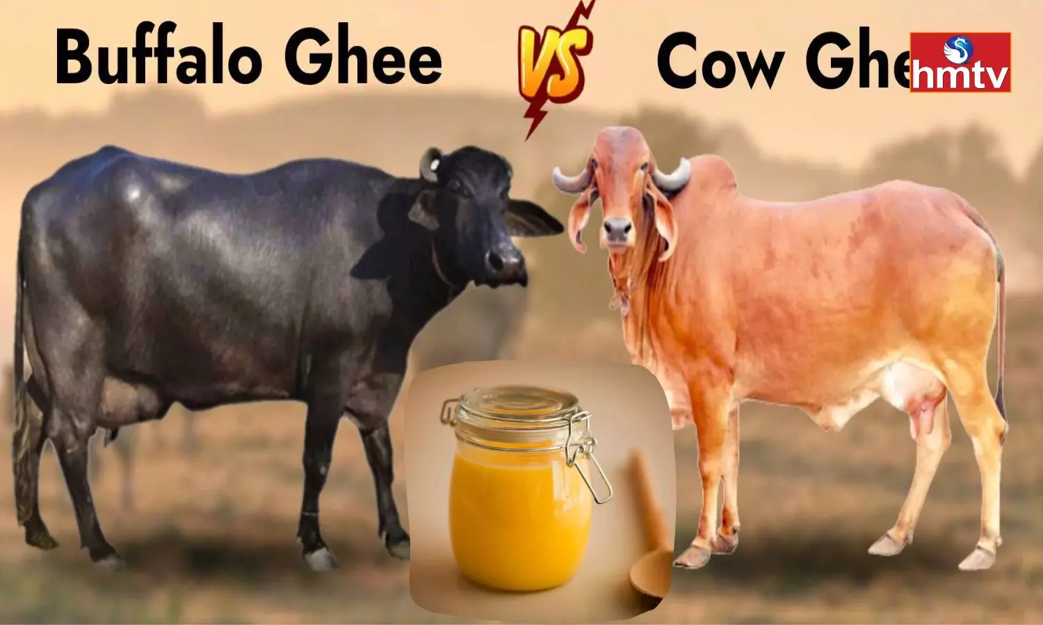 Which of cow and buffalo ghee is more beneficial