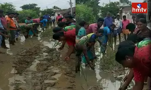 Protest Against the Condition of Roads in Chandur Mandal