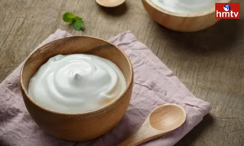 If You Eat Yogurt Will You Gain Weight Is This True