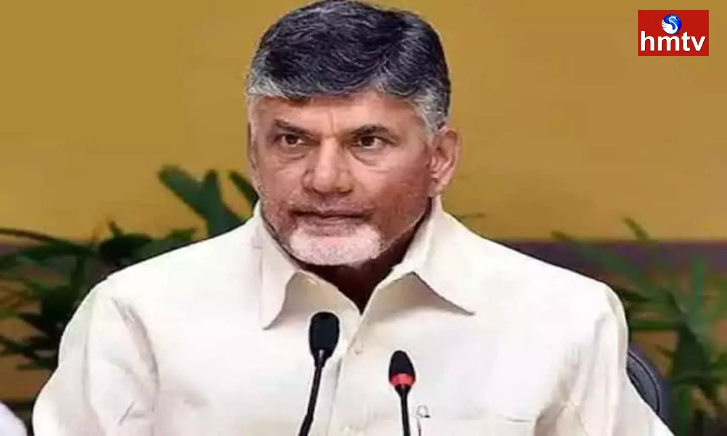 Chandrababu Visit to Palnadu District Today Chandrababu Visit to Palnadu District Today