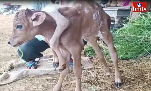 Strange incident in Kolanur of Peddapalli District