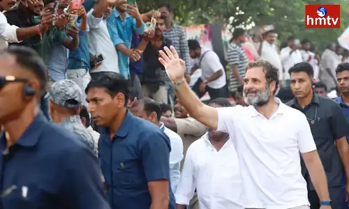 Rahul Gandhi Bharat Jodo Yatra In Karnataka | Telugu News Rahul Gandhi Bharat Jodo Yatra In Karnataka | Telugu News