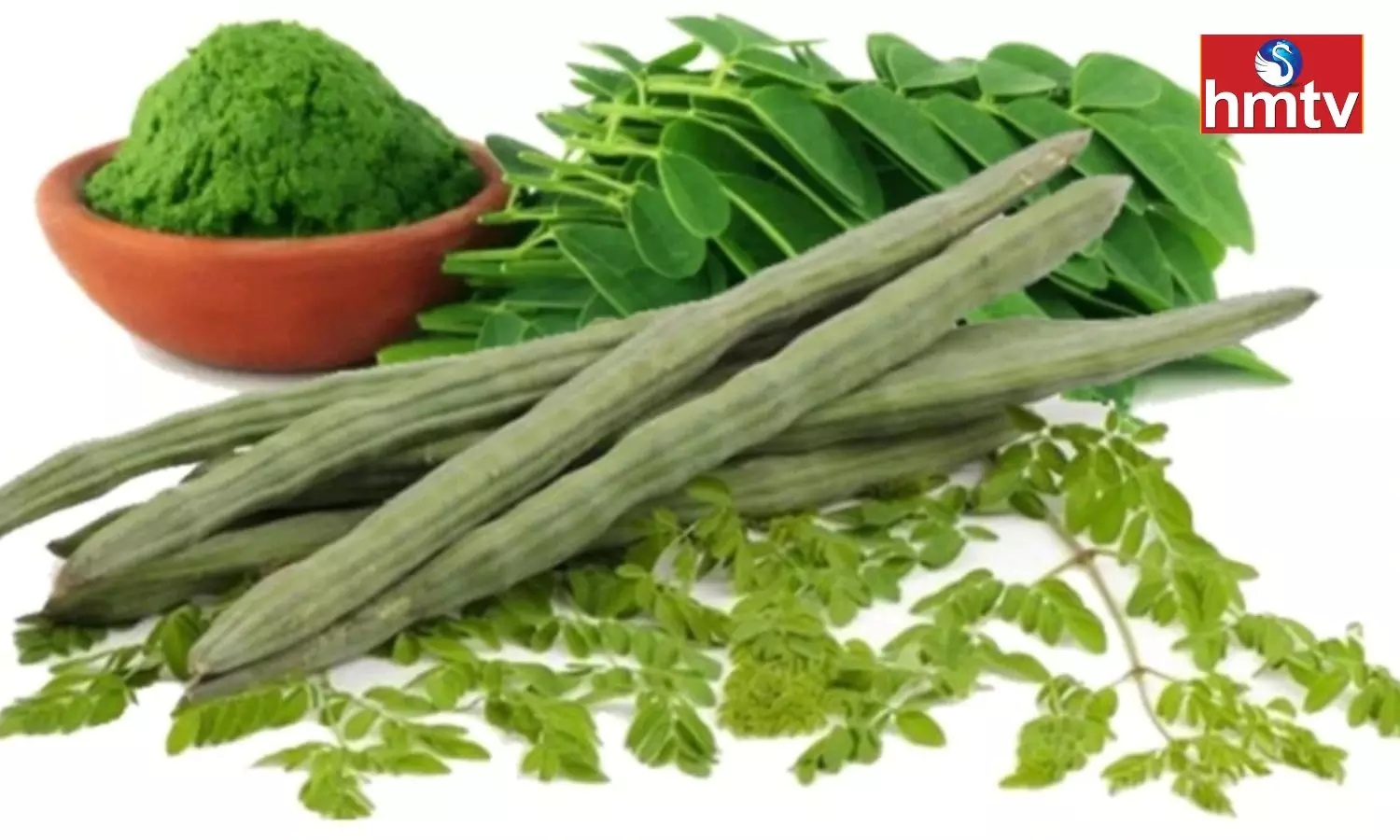 Anyone Should be Surprised to Know the Benefits of Drumstick Leaves