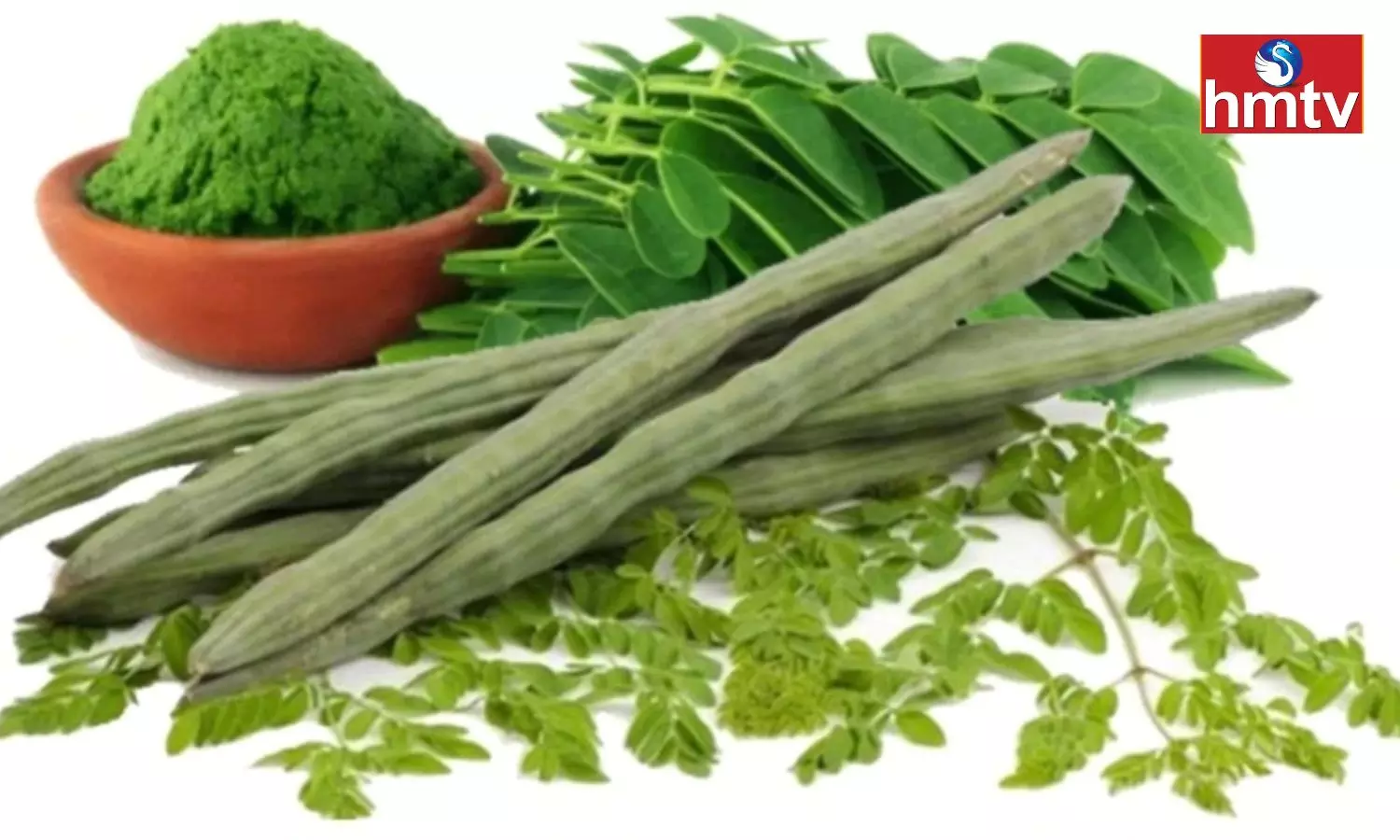 Anyone Should be Surprised to Know the Benefits of Drumstick Leaves Anyone Should be Surprised to Know the Benefits of Drumstick Leaves
