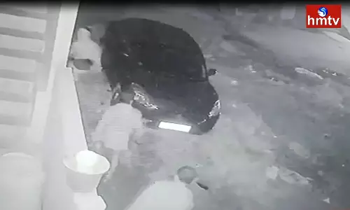 Cheddi Gang Hulchul in Shadnagar