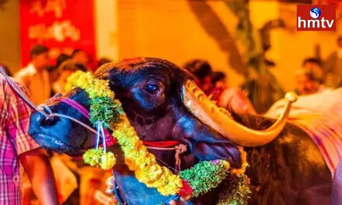 Sadar Celebrations in Telangana