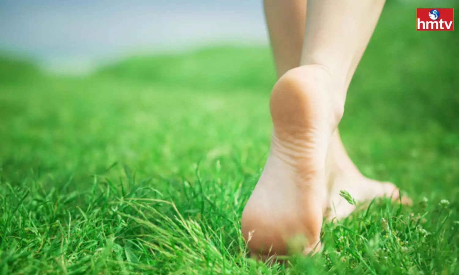 Benefits of Walking Barefoot in Grass
