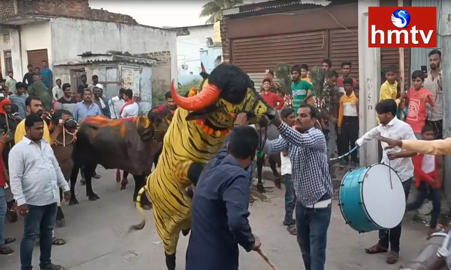Sadar Festival Celebrated in Nirmal Sadar Festival Celebrated in Nirmal