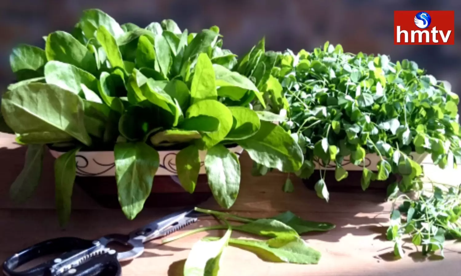Spinach and Fenugreek Have Amazing Medicinal Properties