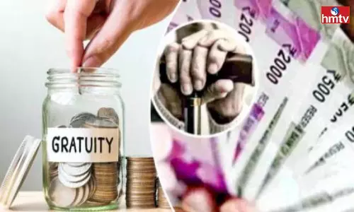 Alert to Employees Small Mistake Will Stop Pension Gratuity