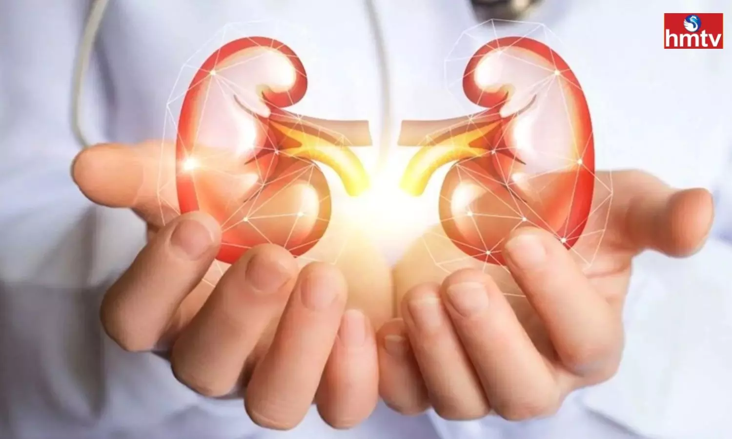 Kidney Failure: కిడ్నీ ఫెయిల్యూర్‌కి ఈ అలవాట్లే కారణం.. అవేంటంటే..?