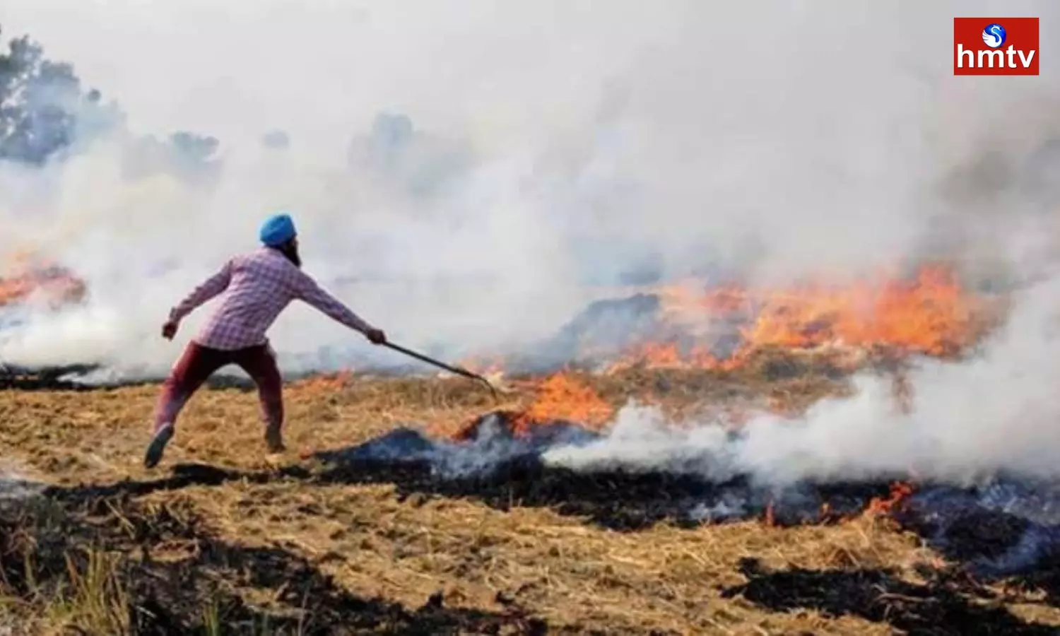 Punjab Government is Angry about the Burning of Waste in Crop Fields