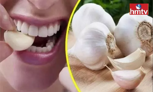 Amazing Benefits of Eating Garlic in Winter Check all These Problems Amazing Benefits of Eating Garlic in Winter Check all These Problems