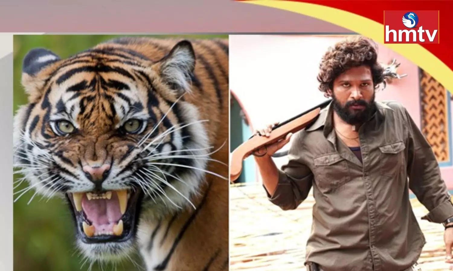 Allu Arjun Will Fight With Tiger in Pushpa The Rule ?