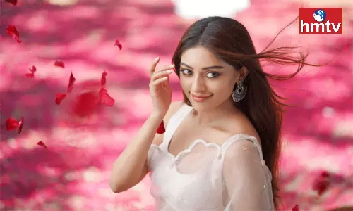 Heroine Anu Emmanuel is Waiting for a Hit | Tollywood News