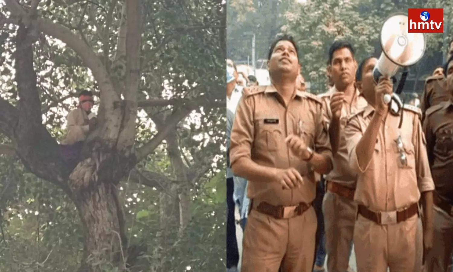 Lucknow Man Climbs Tree in Front of Gautampalli Police Station Demanding to Meet CM Yogi Adityanath