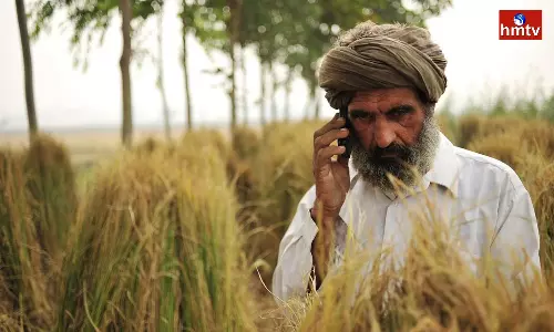 Alert to Farmers in Case of Crop Loss Complain Immediately Through Crop Insurance App Alert to Farmers in Case of Crop Loss Complain Immediately Through Crop Insurance App