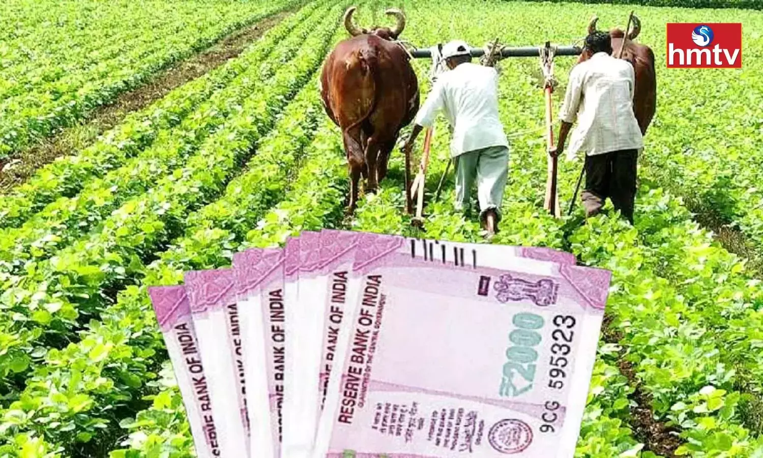 PM Kisan 13th Installment Update Ration Card Soft Copy Immediately Submit PM Kisan 13th Installment Update Ration Card Soft Copy Immediately Submit