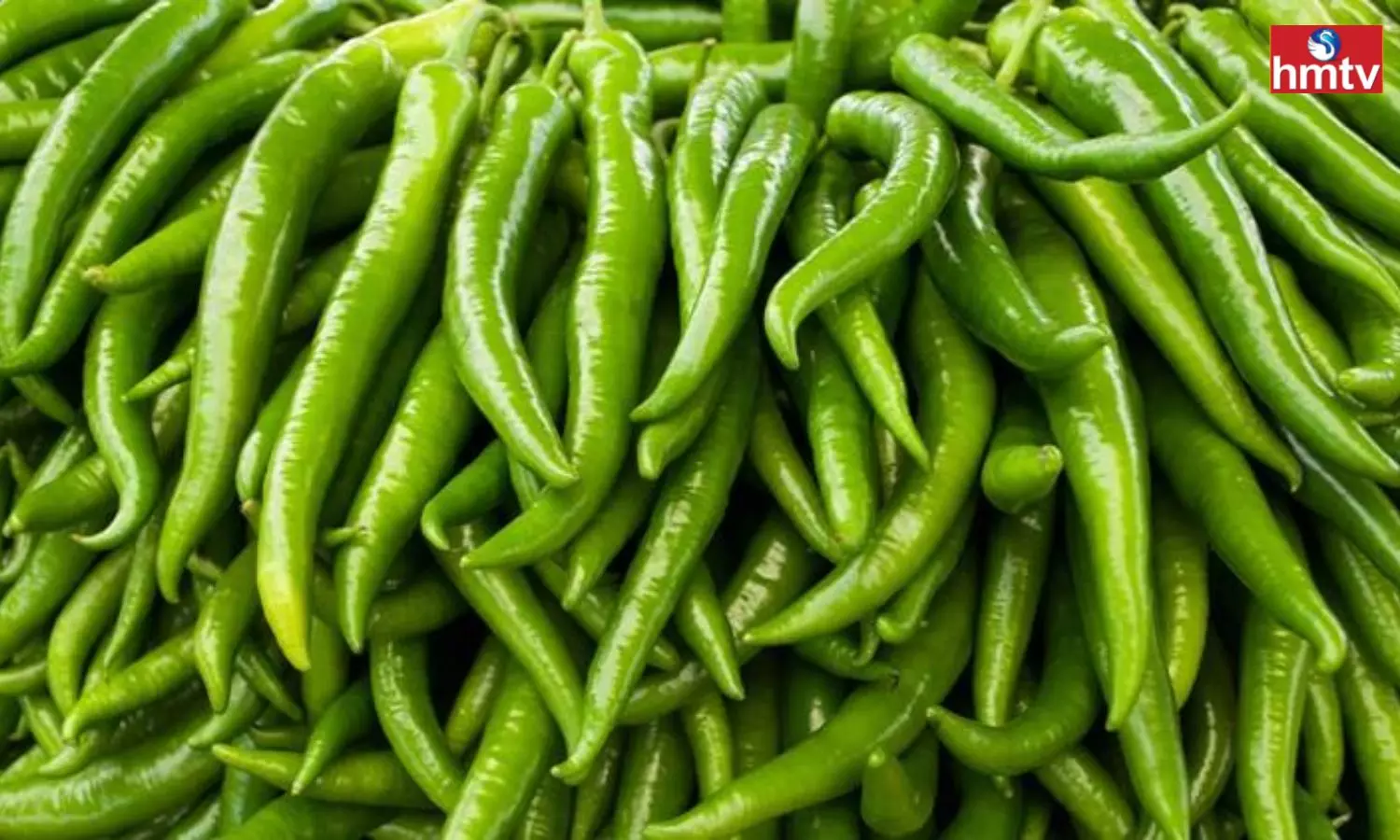 If you Know the Benefits of Green Chilli you Will not Leave it at all