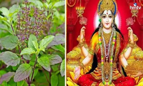 You Will Become Rich in a Short Time Follow These Vastu Tips