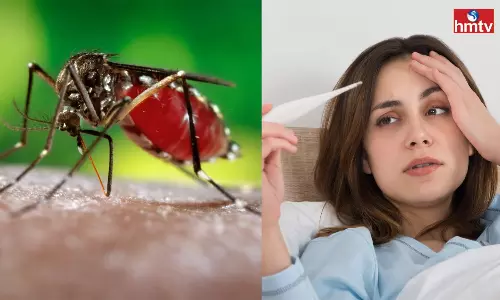 Eat These When you get Dengue Fever Platelet Count will Increase Suddenly