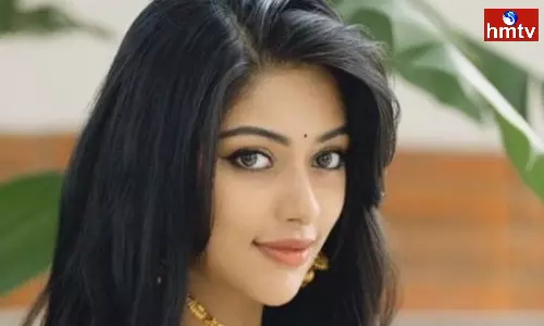 Anu Emmanuel will do movies with star heroes Anu Emmanuel will do movies with star heroes