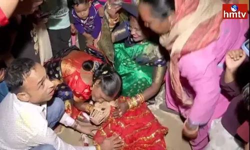 gurugram couple performs all wedding rituals for pet dogs