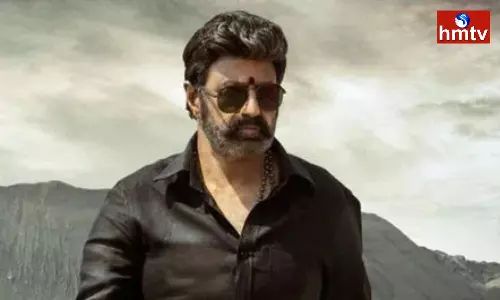 Balayya will do 11 Fights in One Movie