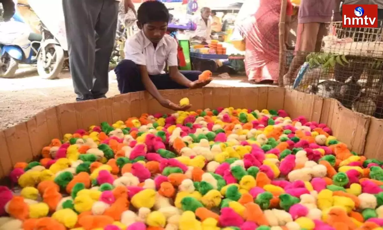 poultry industry hit by rains in tamil nadu