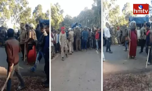 Forest Official, 5 Others Killed In Assam-Meghalaya Border Firing