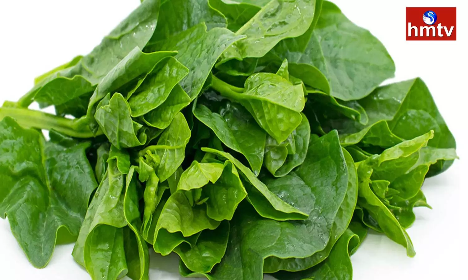 High blood pressure is controlled by eating spinach in winter