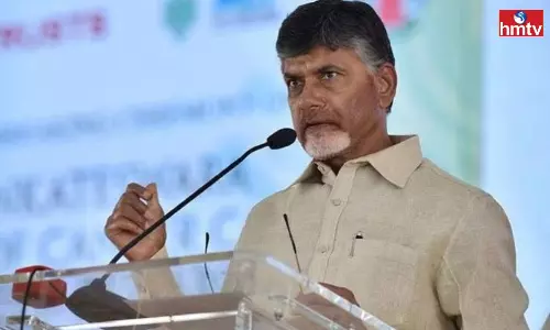 Chandrababu Fires on YS Jagan Chandrababu Fires on YS Jagan