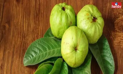 Why Does Eating Guava Cause Stomach Ache Know the Reason Why Does Eating Guava Cause Stomach Ache Know the Reason