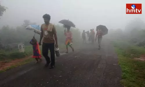 Adilabad district is shivering with cold Adilabad district is shivering with cold