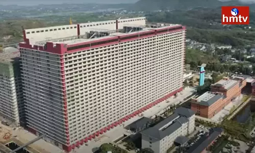 A palace in China for pigs