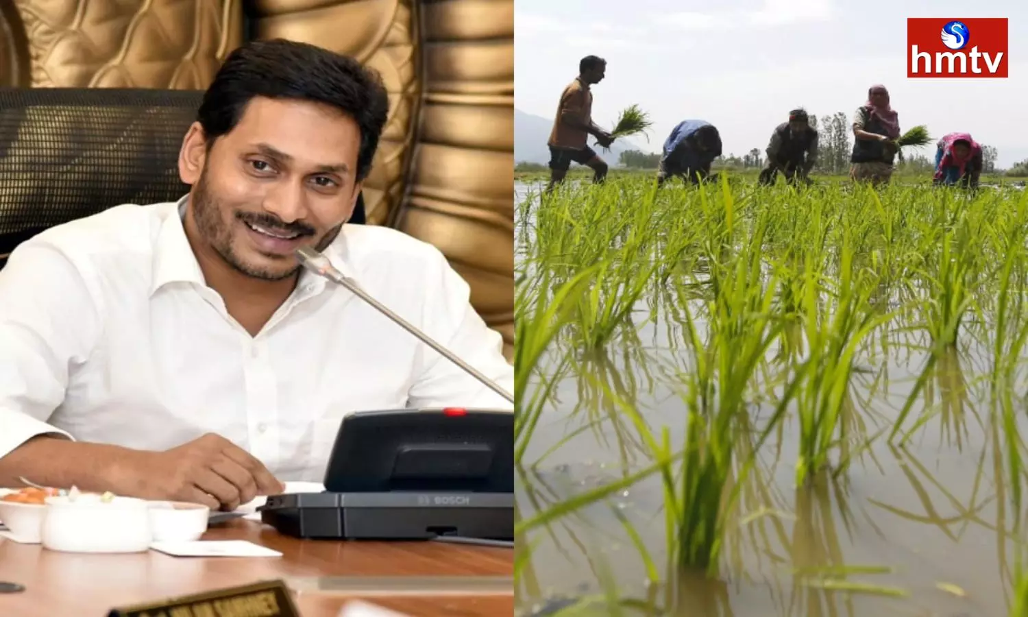 CM Jagan Input Subsidy Money Will Be Deposit in Farmers Accounts Today
