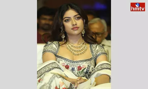 Anu Emmanuel Dispointed With Result of Urvasivo Rakshasivo Movie Anu Emmanuel Dispointed With Result of Urvasivo Rakshasivo Movie