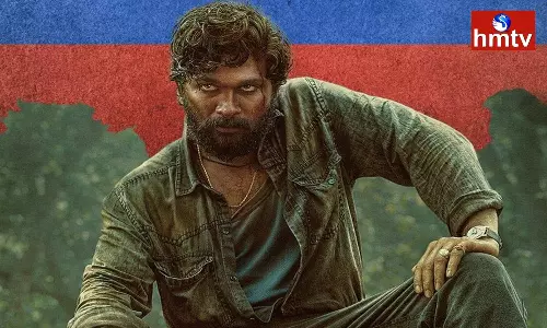 Pushpa: The Rise to Release in Russia on December 8