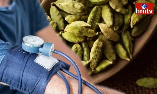 Cardamom Helps Control BP Prevents Many Health Problems
