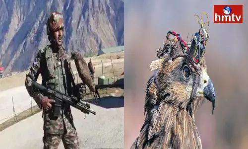 Indian Army Has Prepared a New Weapon Indian Army Has Prepared a New Weapon