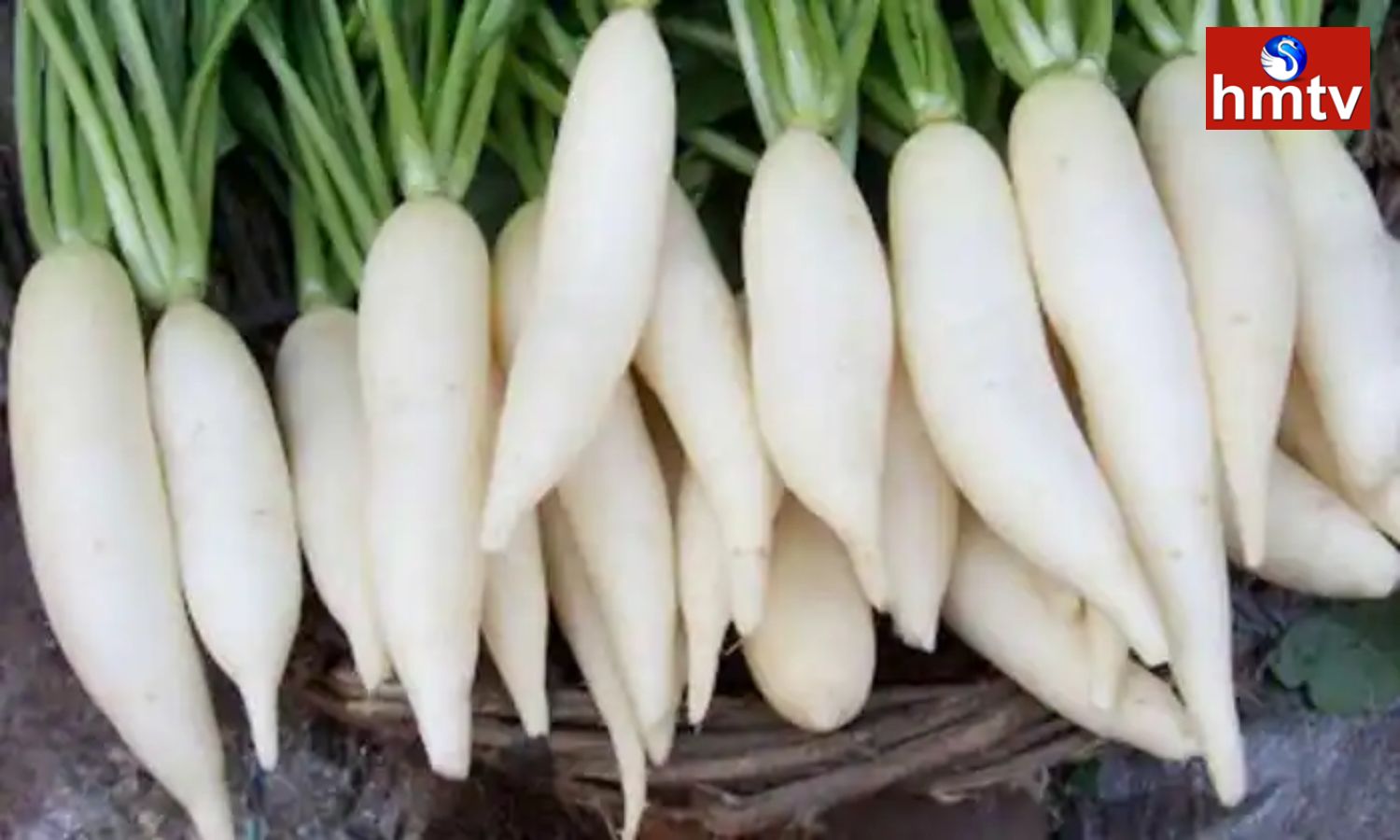 Health Tips ముల్లంగి ఈ రోగులకి దివ్య ఔషధం.. ప్రయోజనాలు తెలిస్తే అస్సలు