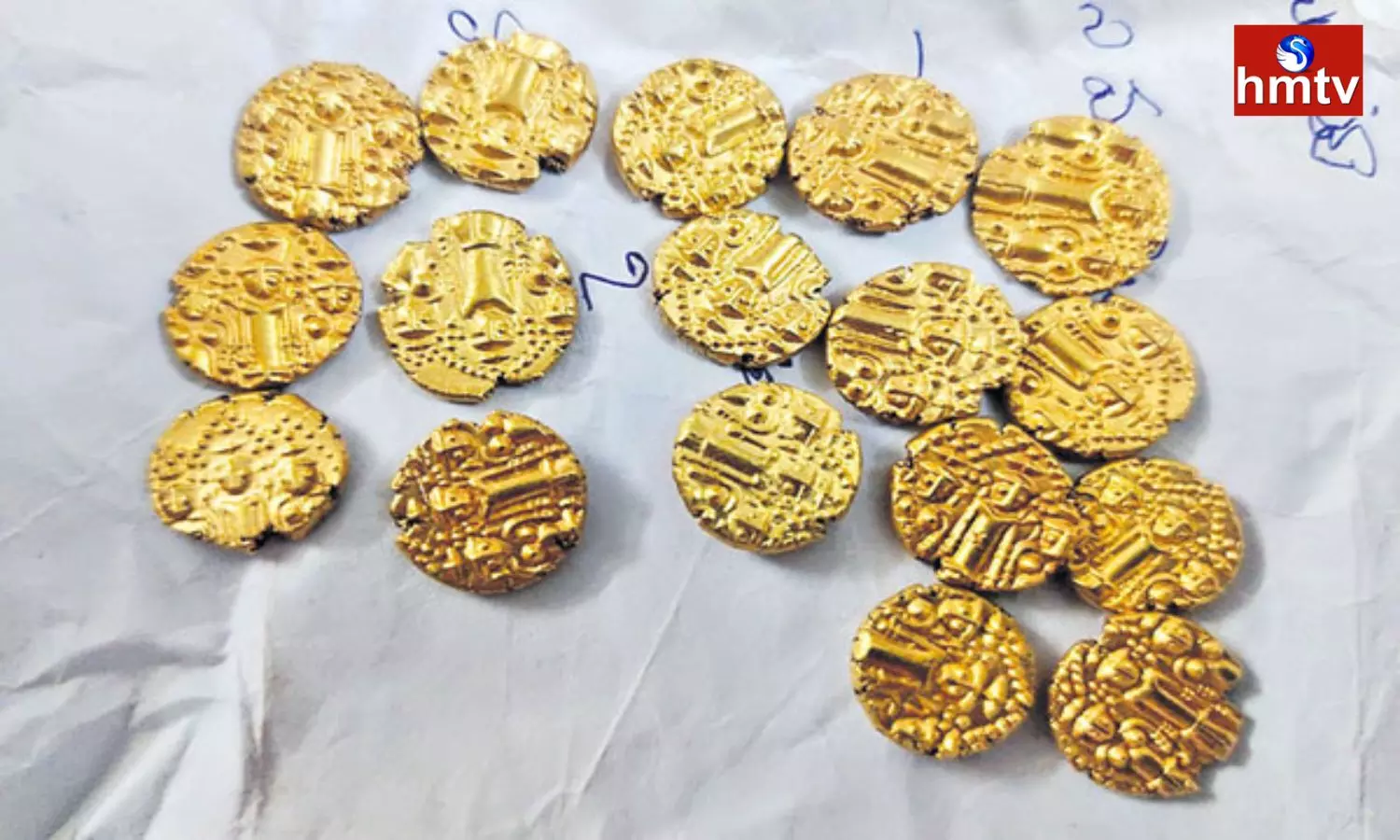 Gold Coins Found in Oil Palm Farms In Eluru