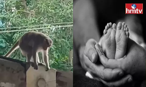 Tragedy in Murugummi Prakasam District