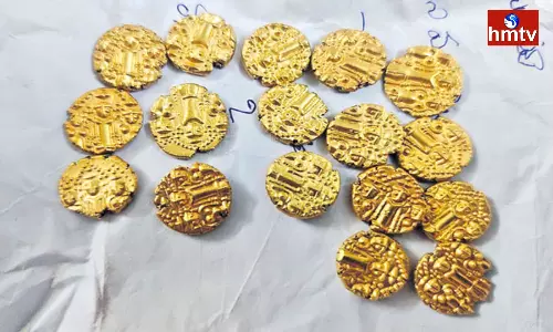 Gold Coins Found in Oil Palm Farms In Eluru