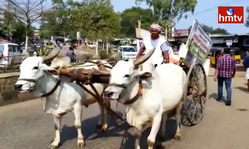 Farmer Was Fined For His Bull Urinating In Front Of the GM office