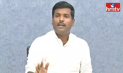 Minister Gudivada Amarnath Comments On Amararaja Investments